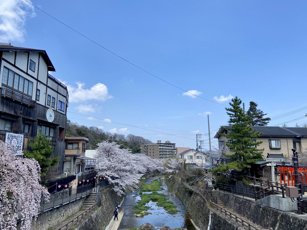 のんびりうりぼう🧌 tweet media