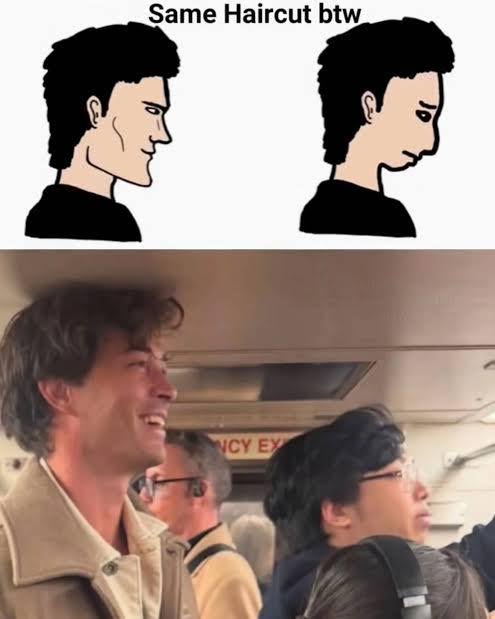 Catharsis tweet media