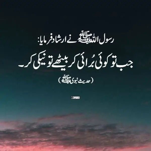 Sadia Rajpoot ⚡ tweet media