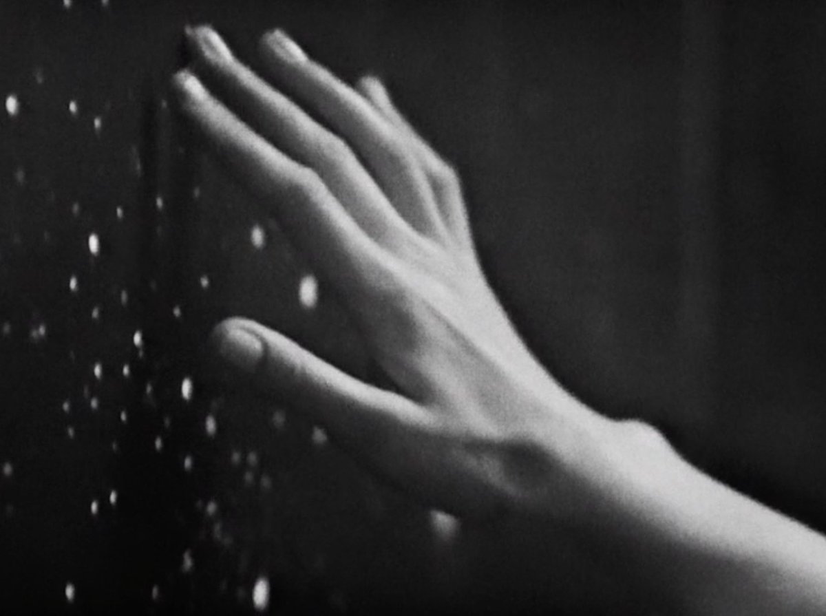 Nickadvoratrelundar tweet media