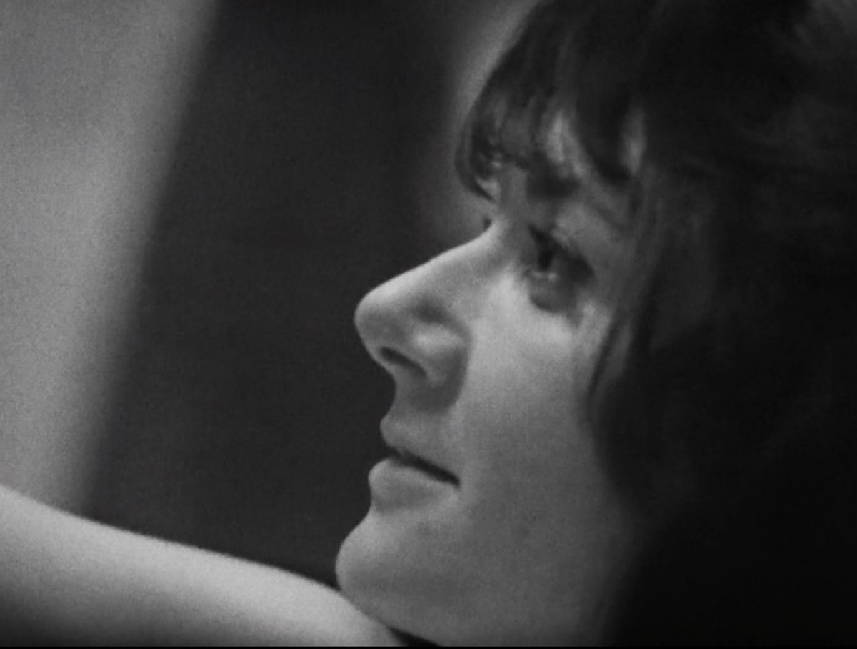 Nickadvoratrelundar tweet media