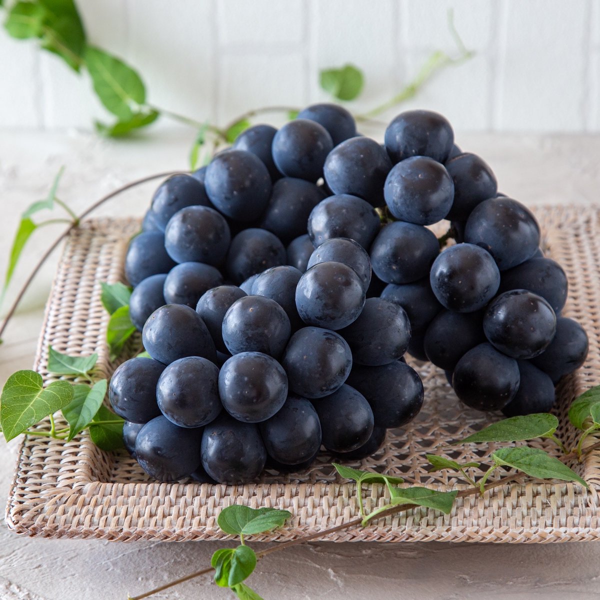 Grand Grape tweet media