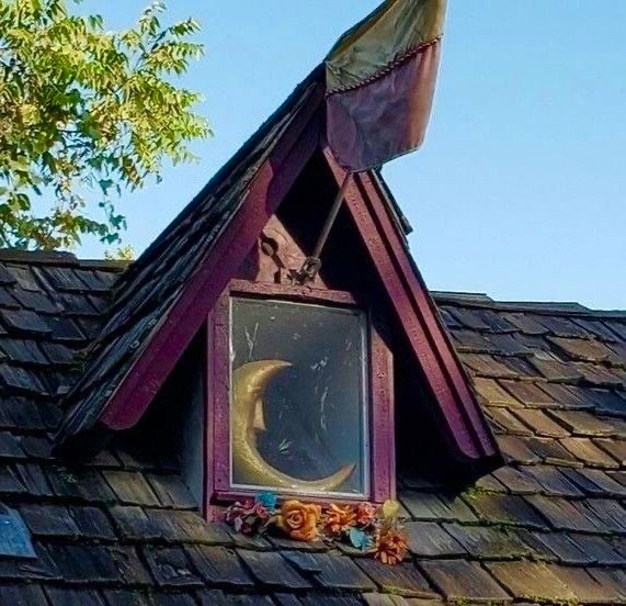 Blaize 🌙 tweet media