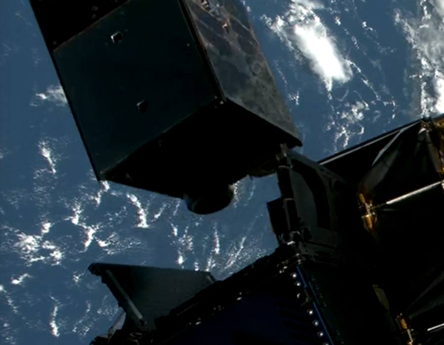 Severin Fisher tweet media