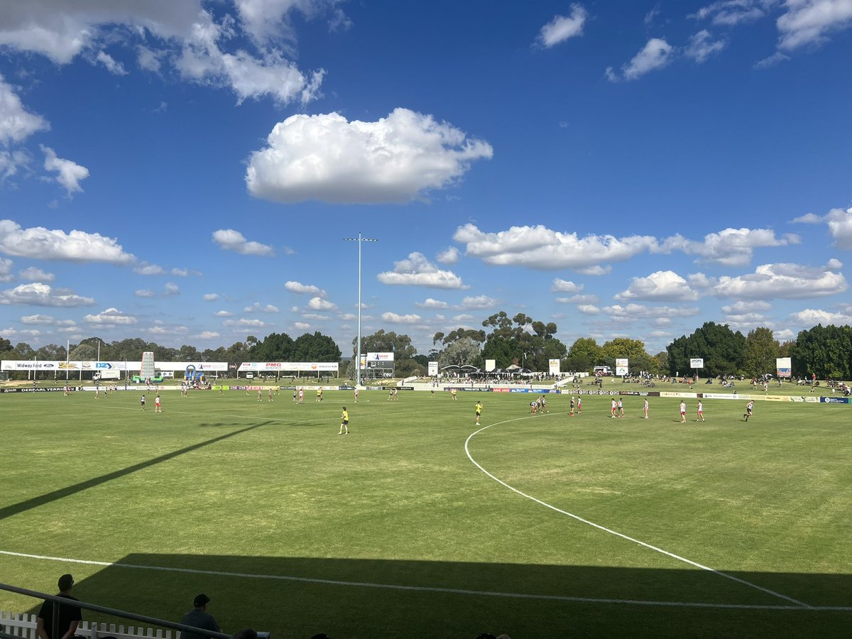 Daniel Davini tweet media