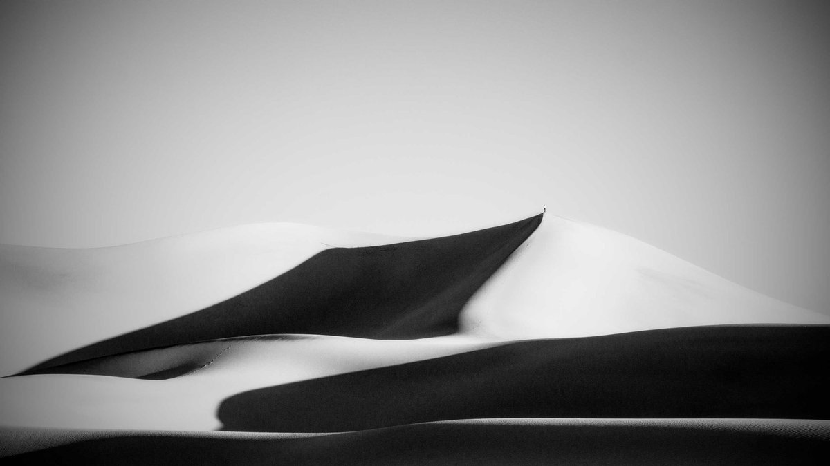 Michael Buda 📸 tweet media