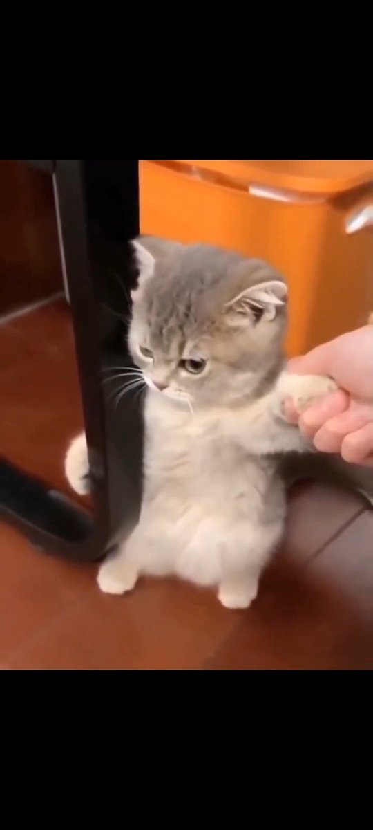 Aishh_🥀 tweet media