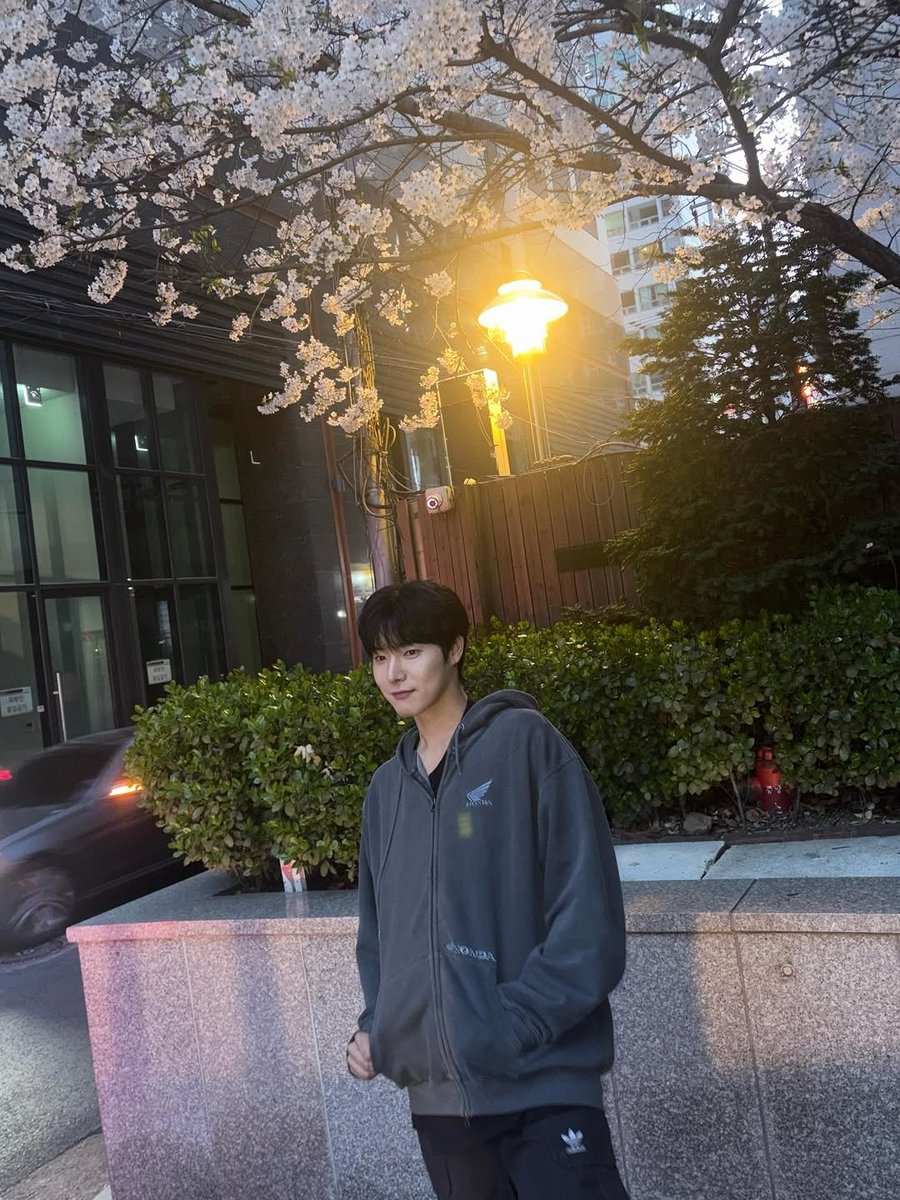 피카츄 tweet media