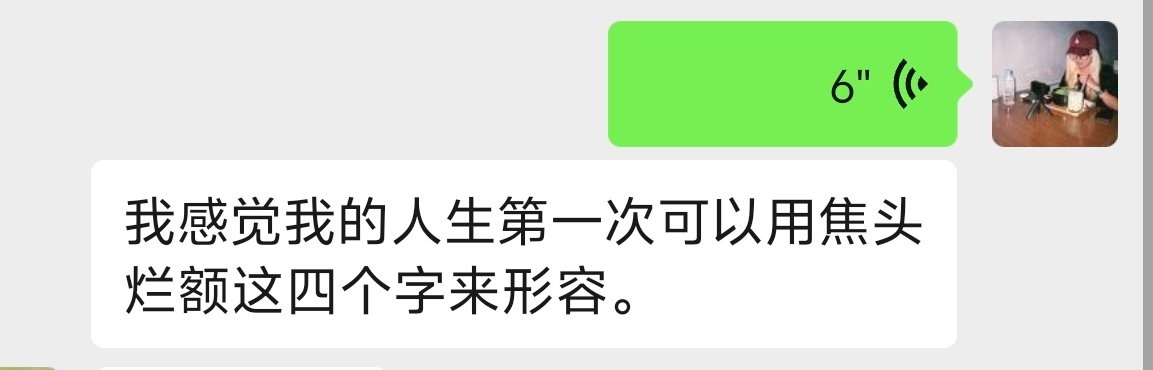 草履虫 tweet media