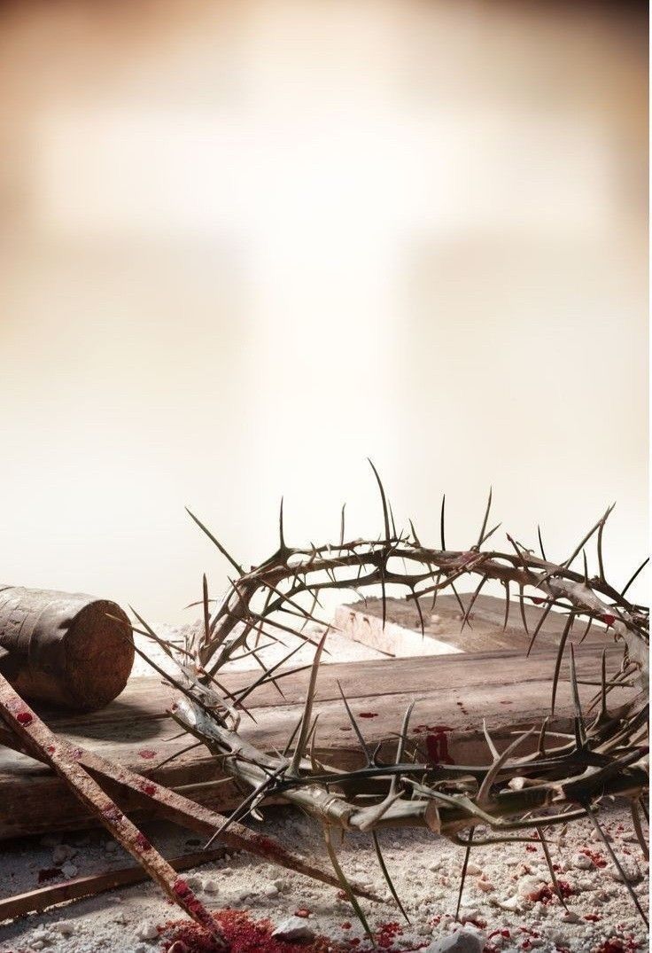 Ugochi 💥 tweet media