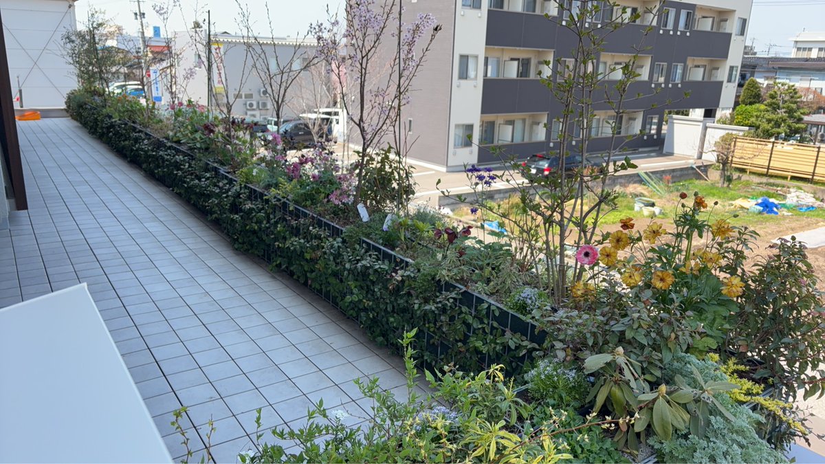 matuhawarau's tweet photo. 金沢の桜〜🌸
今日午後に満開宣言でました🌸

昨年設置させていただいた
グリーンカルバートに
ラナンキュラスラックスを補植☘️
高さもあるのでプランターが華やかになりました♪

#グリーンカルバート
#ラナンキュラスラックス
最近ますます種類が増えてかわいい
ラナンキュラスラックス
おすすめです https://t.co/dnzXb2Xne8