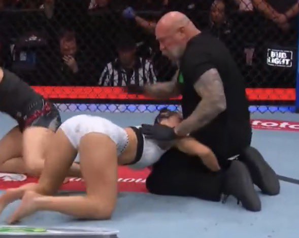 MMA Girls tweet media