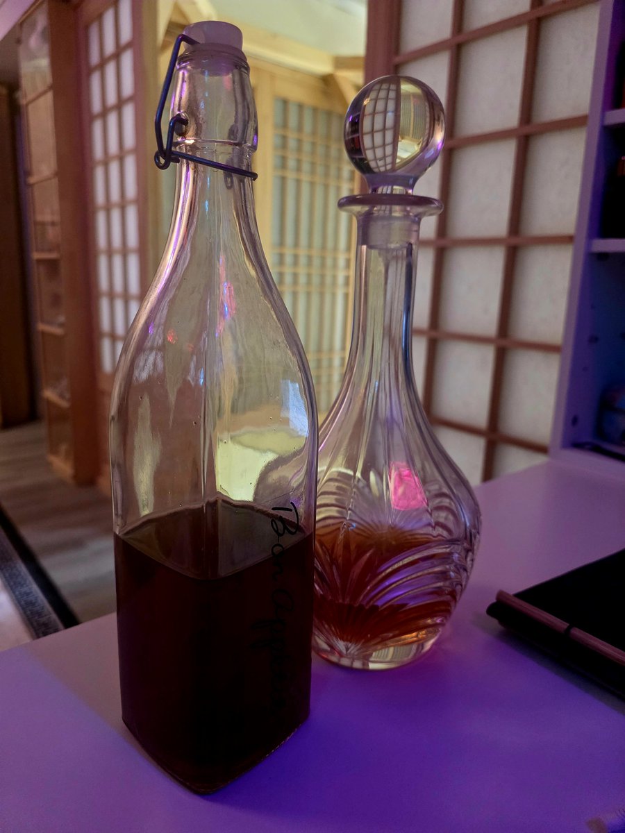 판다던전 Panda Dungeon in 대전 tweet media