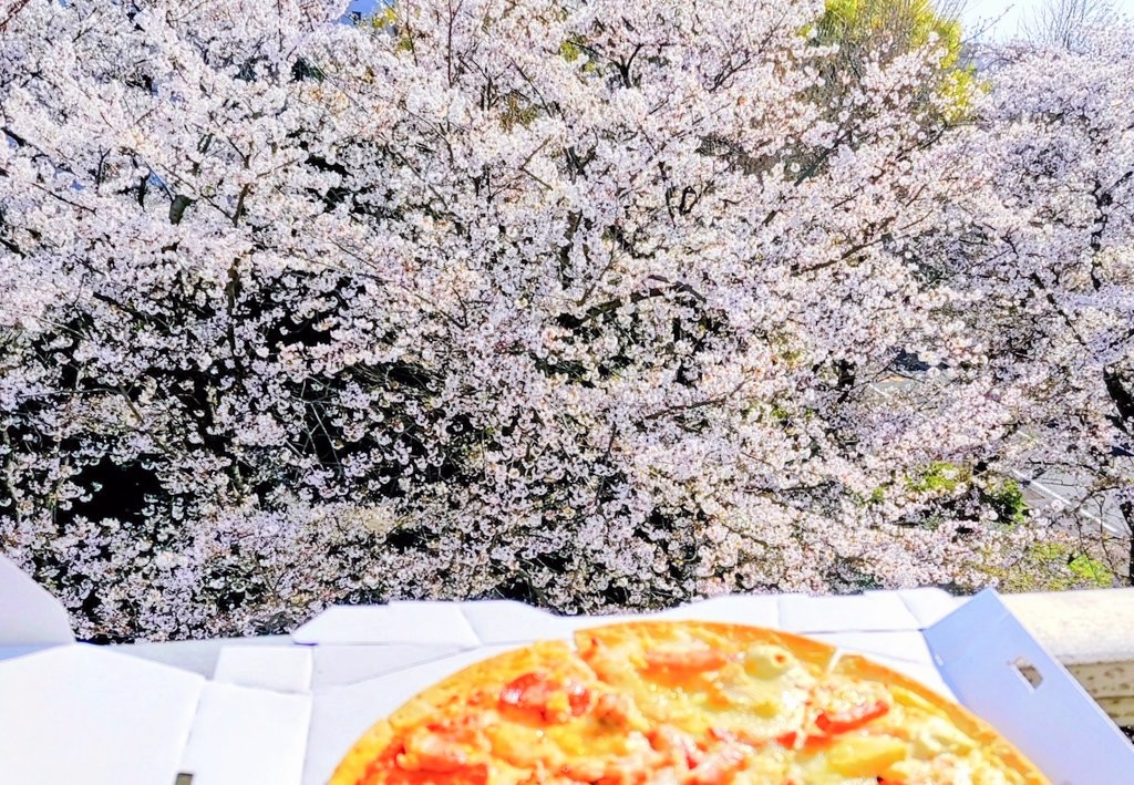 JIMNY de CAMP【❇️ｼﾞﾑｷｬﾝ❇️】 tweet media