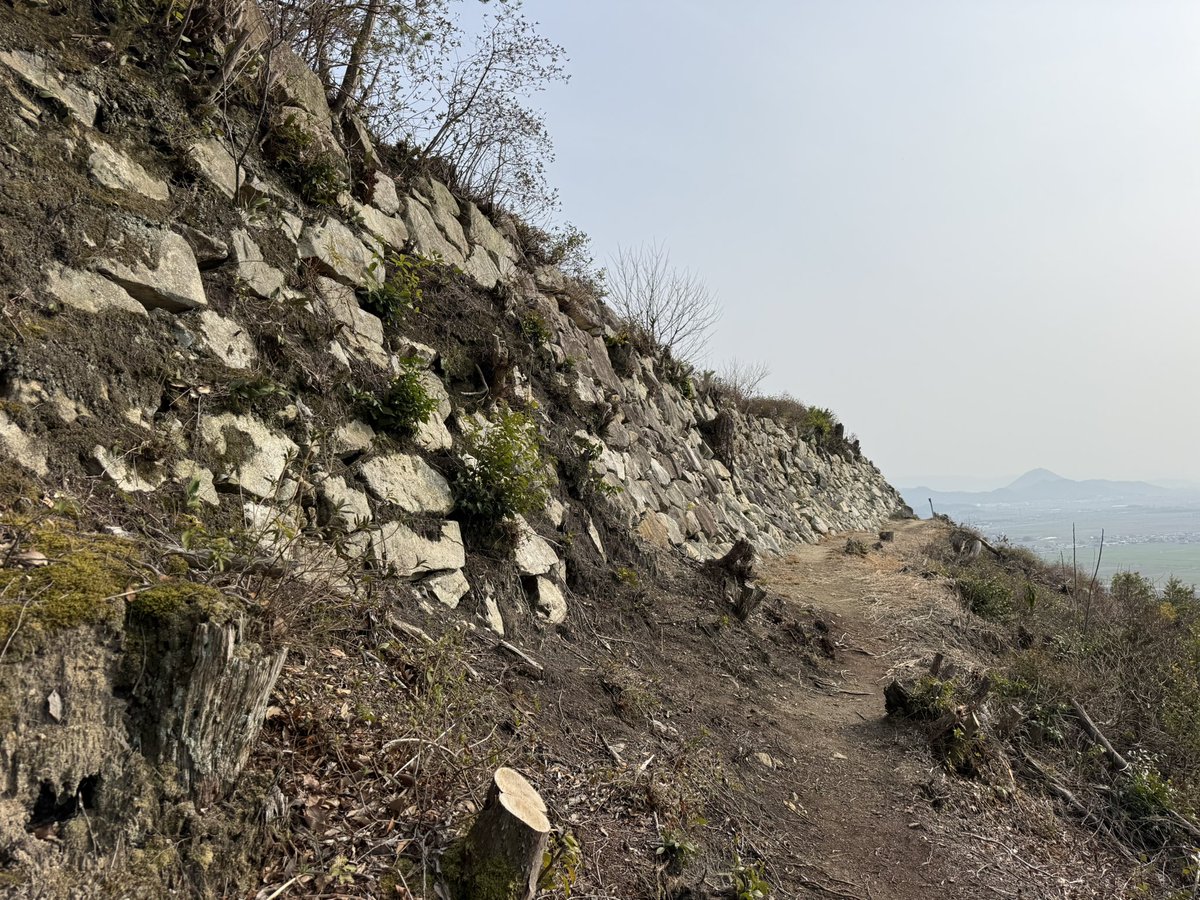 k-masahiro tweet media