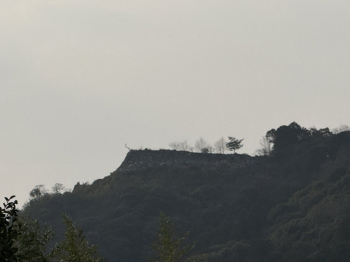 k-masahiro tweet media