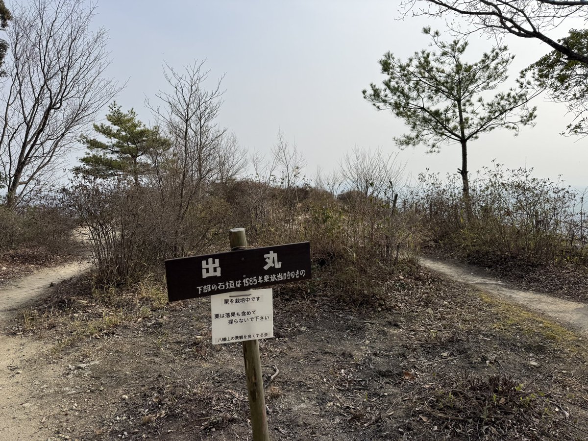 k-masahiro tweet media