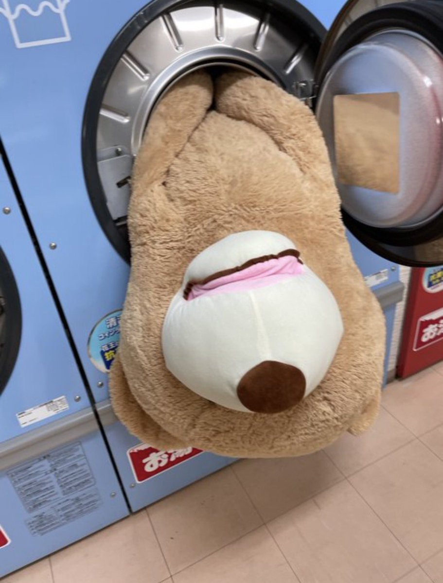 アーサー戦士 tweet media