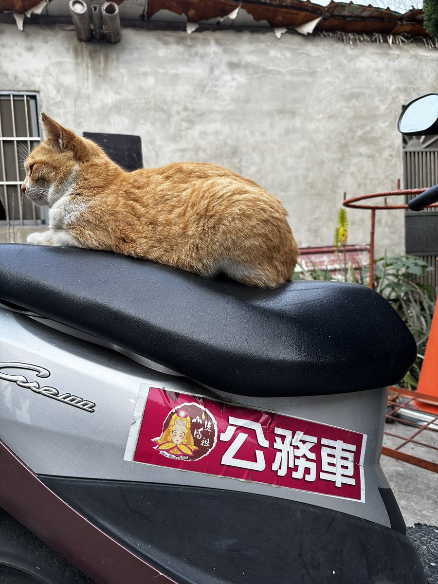 Wingsmaker13's tweet photo. 這週推。

進入無��台語多聲道聽打魔鬼週，內容是百年來沿海王爺的故事，跟聽廣播劇完全沒兩樣。

媽祖一直開研究副本給我🫠 https://t.co/jZbkFHWth9
