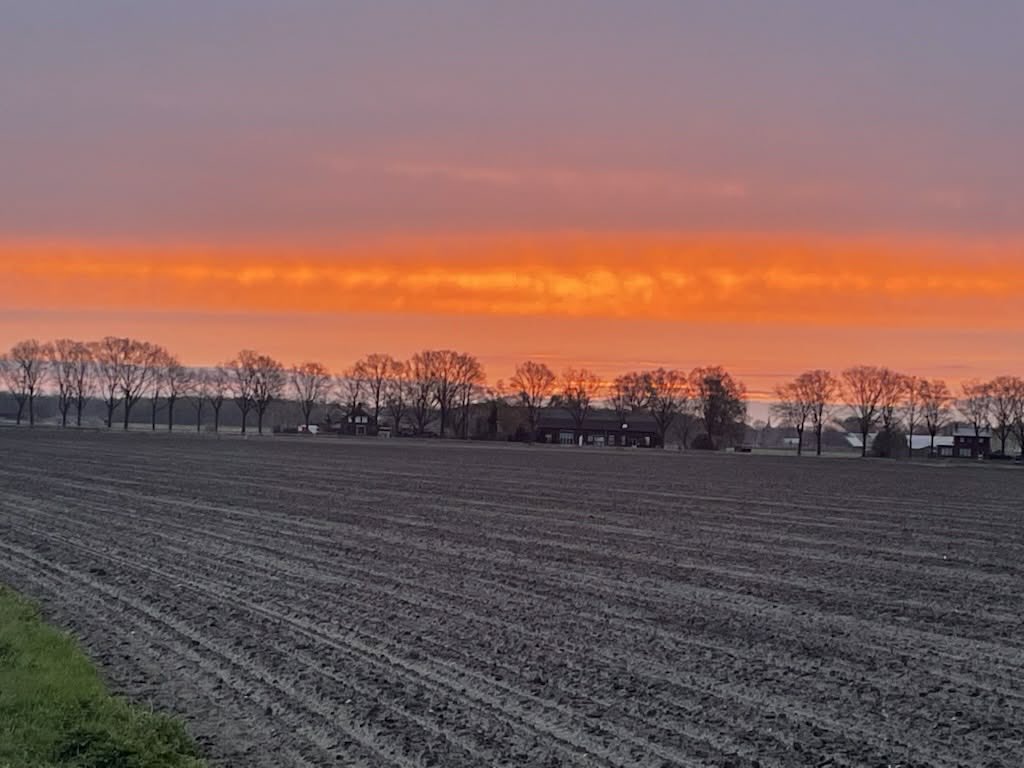 Petra Vdf Petersen tweet media