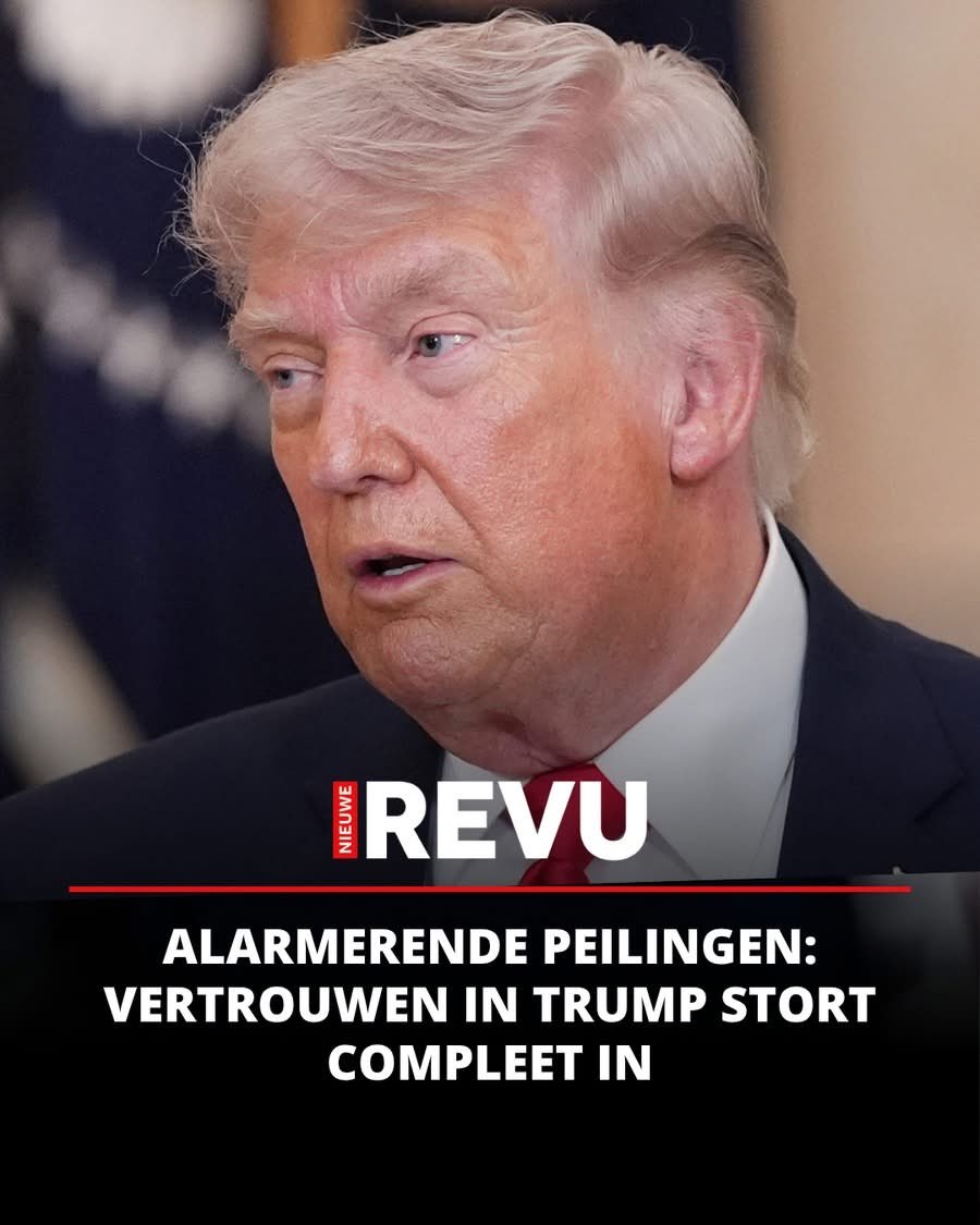 zeg maar John tweet media