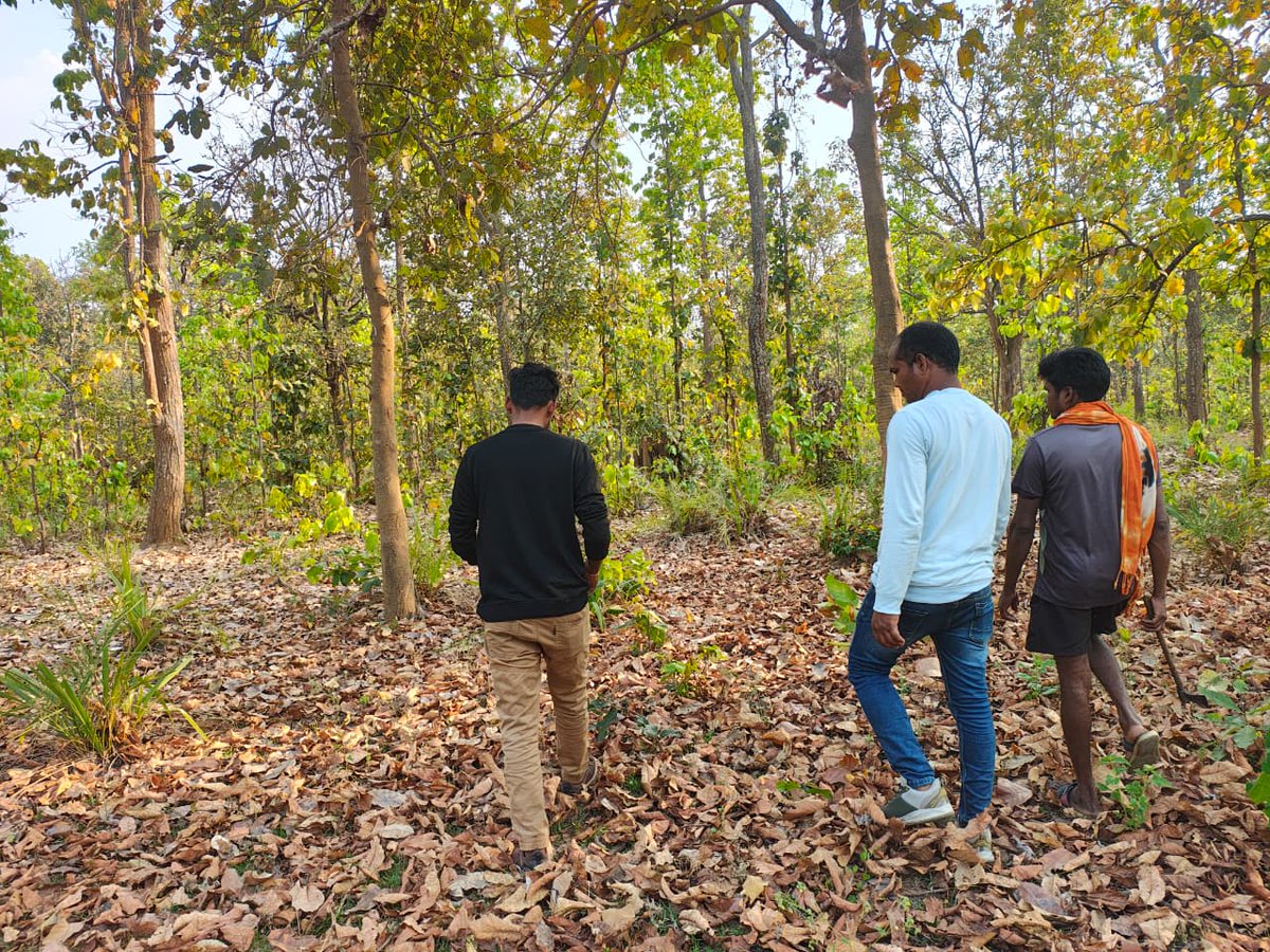 CG Forest & Climate Change Department tweet media