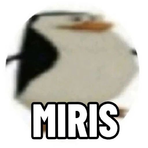 itadori yudi tweet media