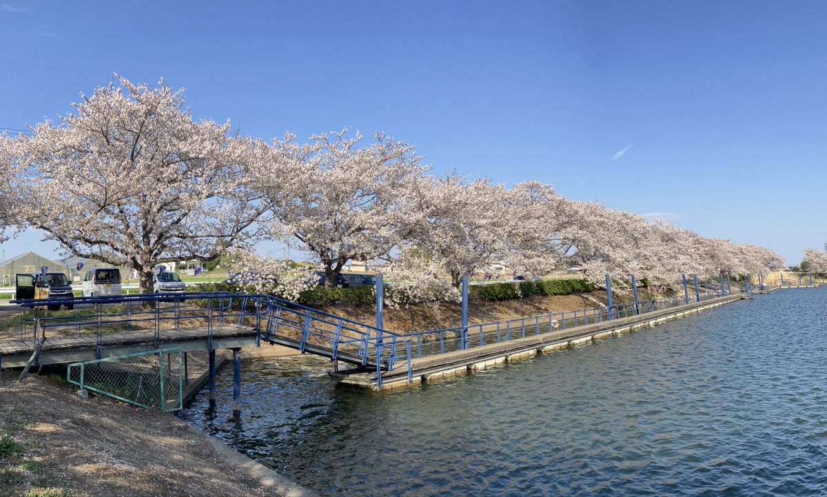 ゆう☆スプリント tweet media