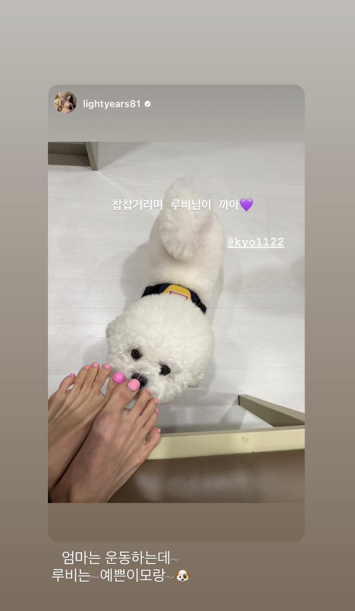 교린이 tweet media