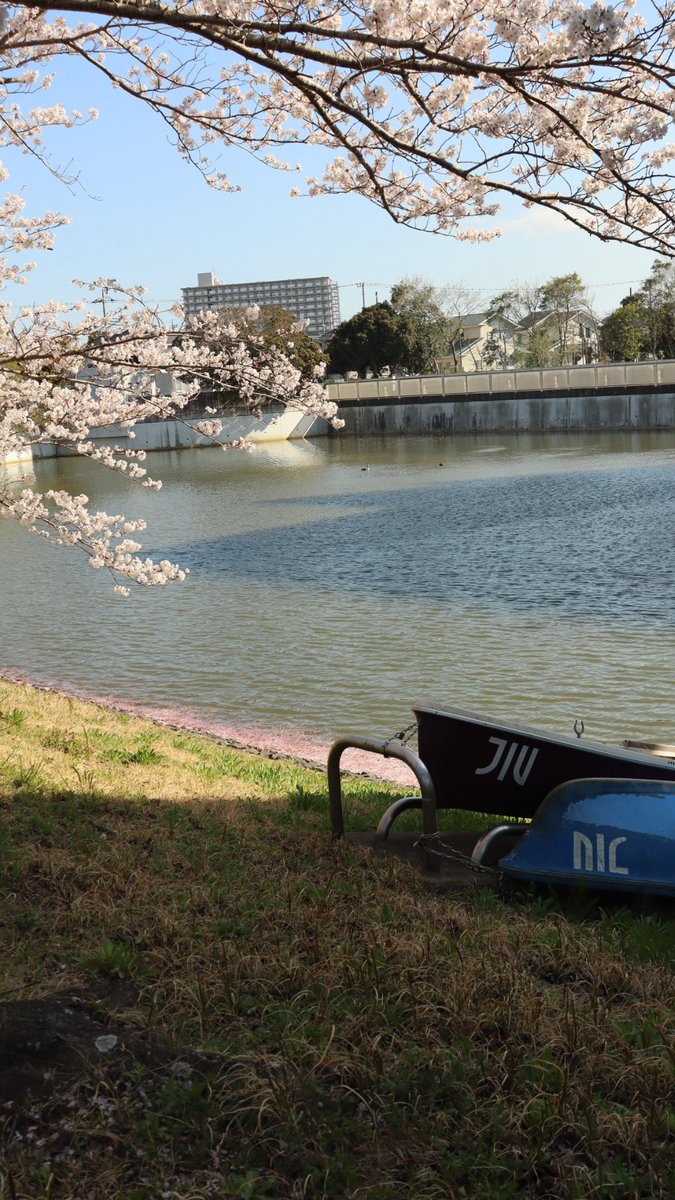 城西国際大学 tweet media