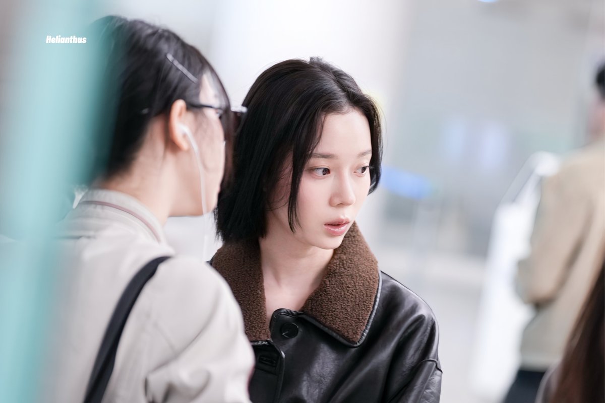 Helianthus tweet media