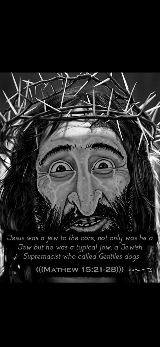 Mahmoud Alissa tweet media