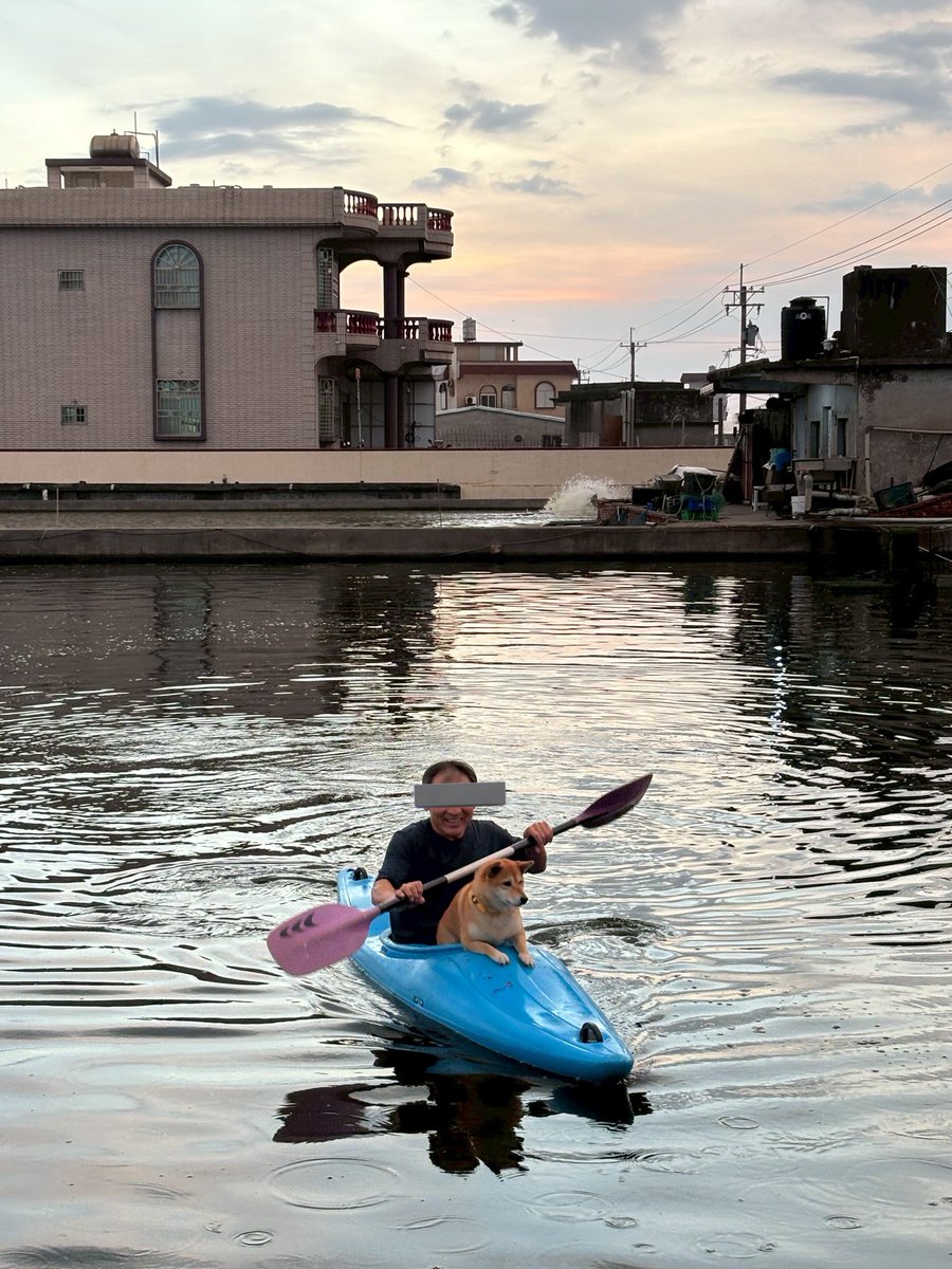 🌈熊恩爸比🐻‍❄️（Shawn） tweet media