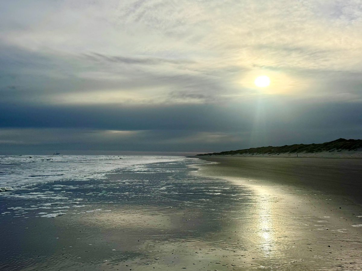 richardtkiewiet tweet media