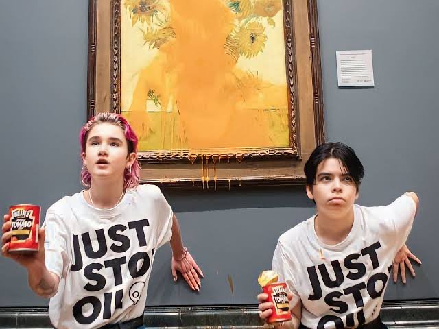 うさこ🐰🌸 tweet media