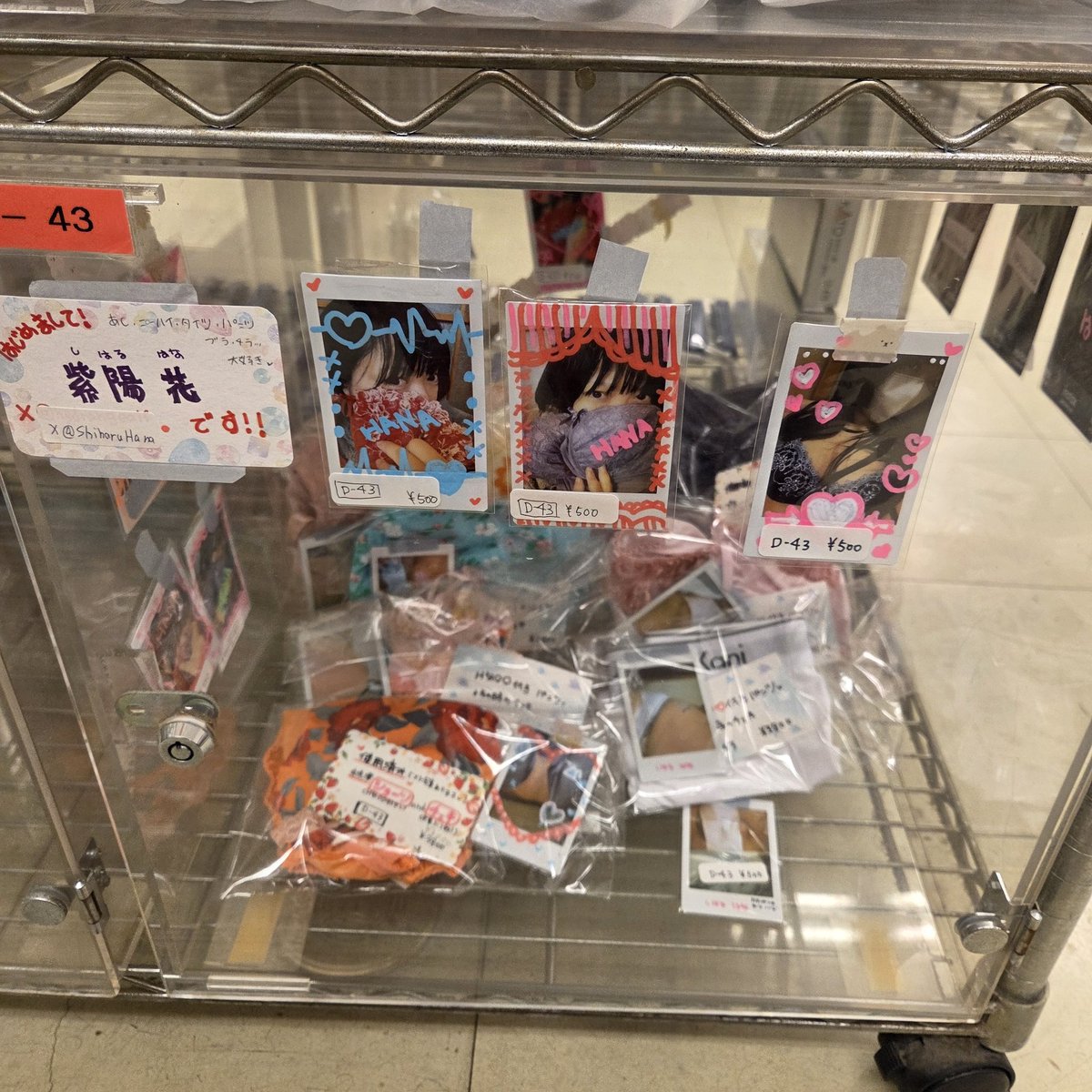 紫陽 花-しはるはな tweet media