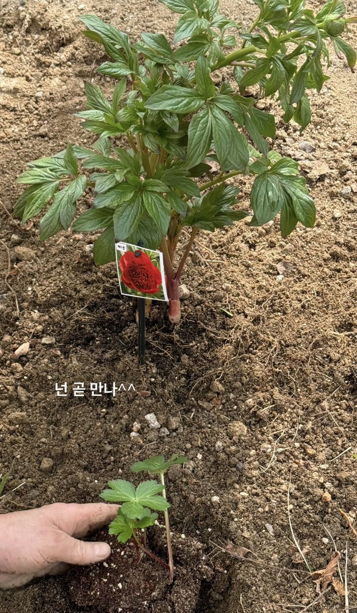 교린이 tweet media