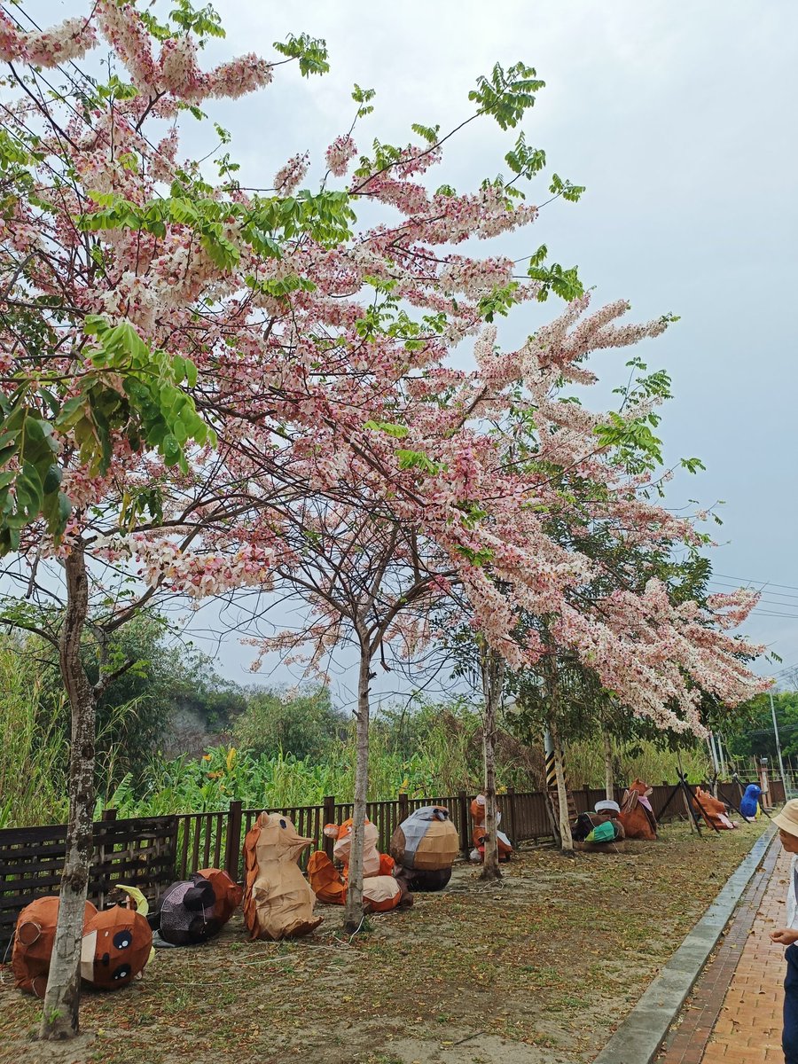 🌈熊恩爸比🐻‍❄️（Shawn） tweet media