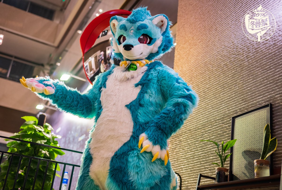 SuperFurryFusion tweet media