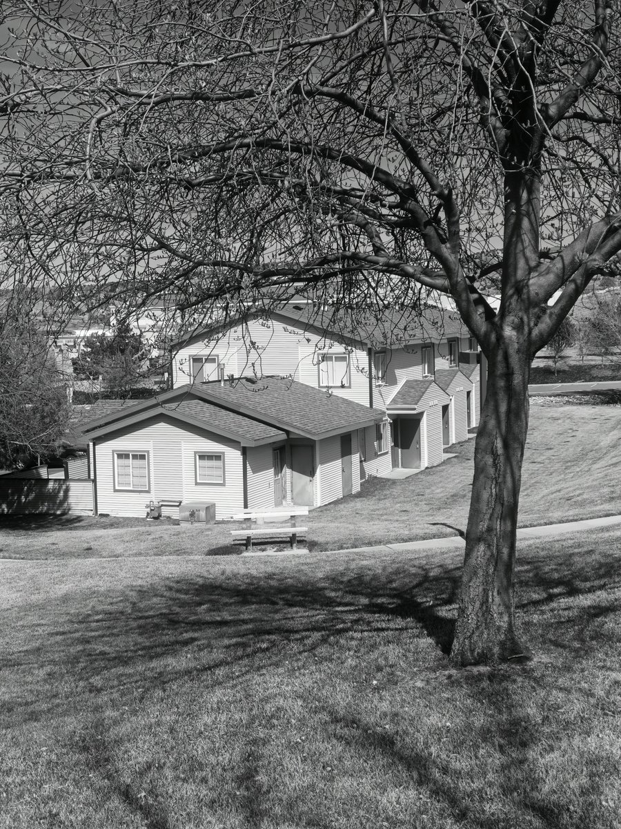 Fahim Al Mahmud Ashik tweet media