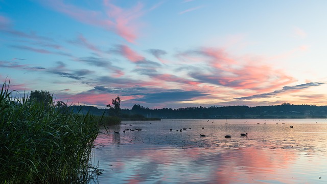 Linda Serrano tweet media