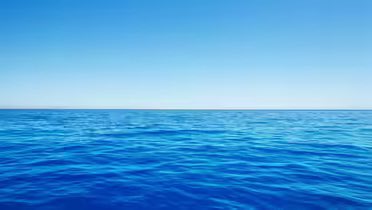 Prasanna tweet media