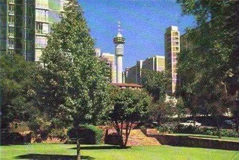 Barney Simon tweet media