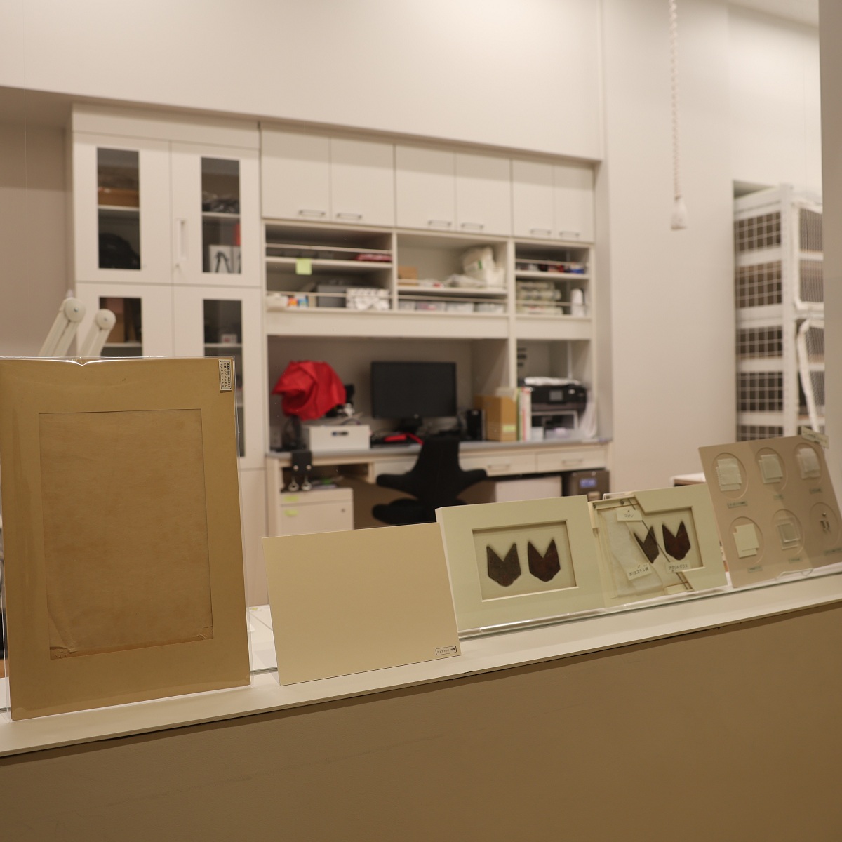 東京国立博物館　広報室 tweet media