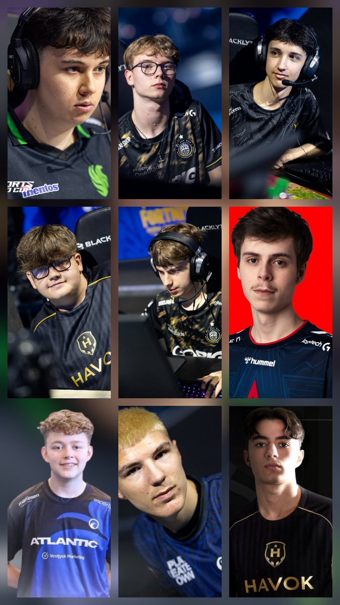 Mocchi 🌵 tweet media