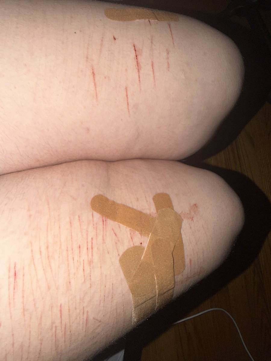 panini ( ´ཀ` ) tweet media