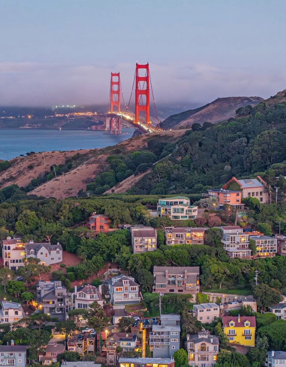 World Explorer 📸 tweet media