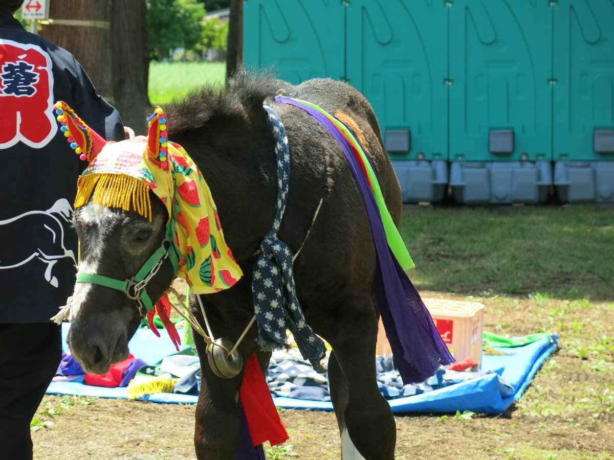 ちゃぐっぴ 【公式】＠滝沢市観光物産協会 🐴午年のチャグチャグ馬コ大行進は6月13日（土）開催予定 tweet media