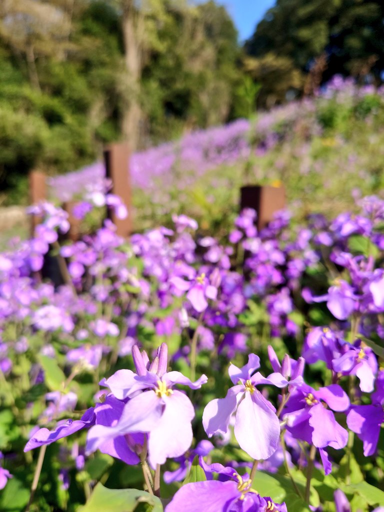 狂月おさむ tweet media