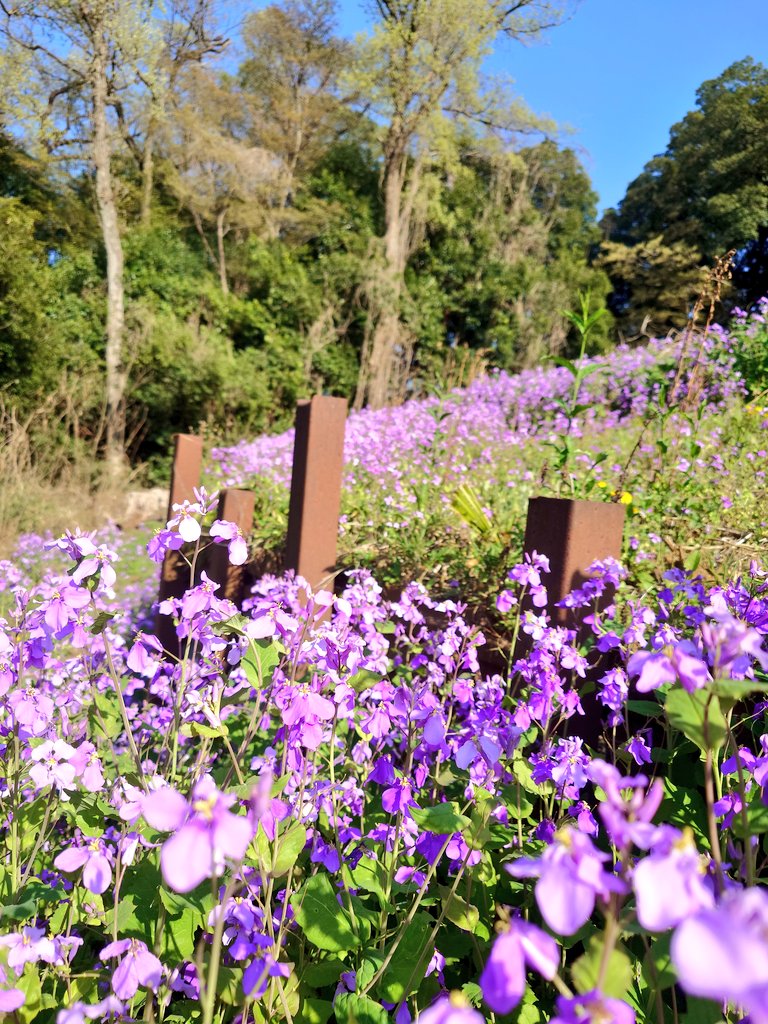 狂月おさむ tweet media